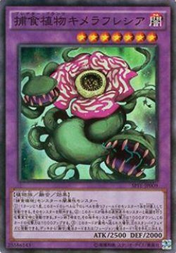 画像1: 捕食植物キメラフレシア（プレデター・プランツ）