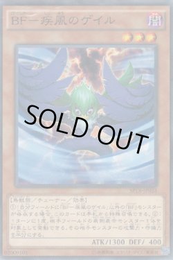 画像1: BF-疾風のゲイル(ブラックフェザー)