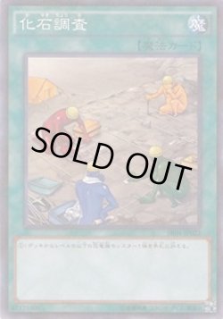画像1: 化石調査