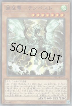 画像1: 嵐征竜－テンペスト（らんせいりゅう）