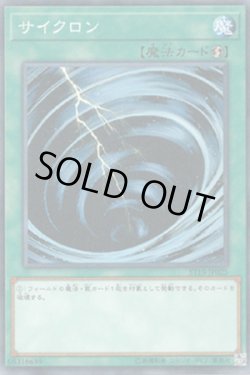 画像1: サイクロン