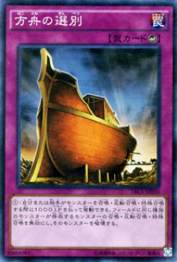 画像1: 方舟の選別