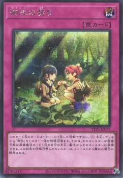 画像1: 御巫の契り（みかんこ）