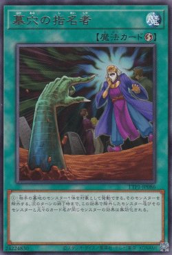 画像1: 墓穴の指名者