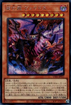 画像1: 滅亡龍 ヴェイドス