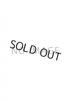 画像1: F.A.ライトニングマスター（フォーミュラアスリート）