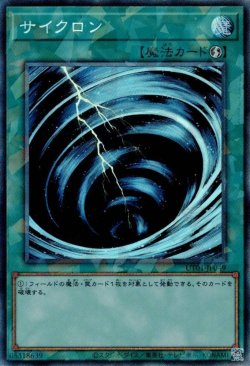 画像1: サイクロン