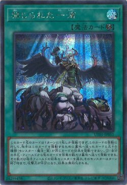 画像1: 禁じられた一滴