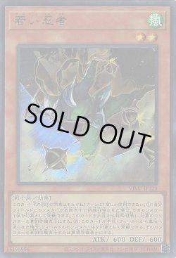 画像1: 若い忍者(グリーン)