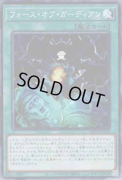 画像1: フォース・オブ・ガーディアン