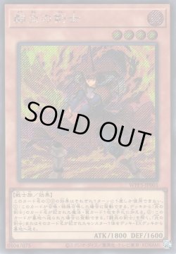 画像1: 闘炎の剣士