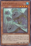 アスピスクール