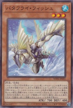 画像1: バタフライ・フィッシュ