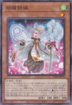 画像1: 胡蝶姉妹（ファレノプ・シスターズ）