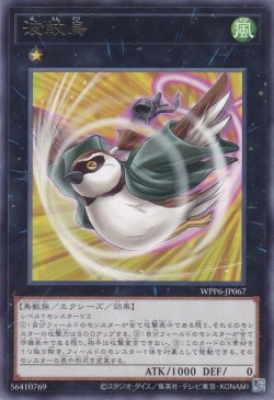 画像1: 波紋鳥