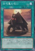 古代亀の呪い