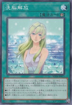 画像1: 洗脳解放