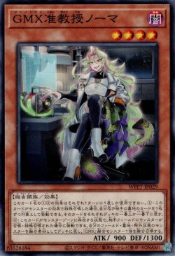 画像1: GMX准教授ノーマ
