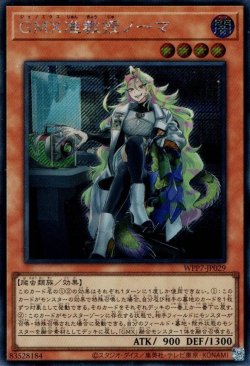 画像1: GMX准教授ノーマ
