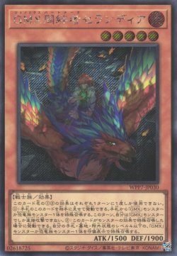 画像1: GMX同絆者セランディア