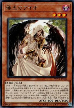 画像1: 暁光のブイオ