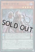 暗翳の信仰者（シェード ジ オブスキュア）