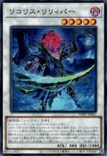 リコリス・リリィパー