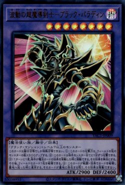 画像1: 波動の超魔導剣士－ブラック・パラディン