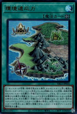 画像1: 環境適応力