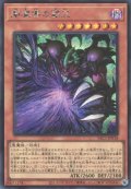 闇魔導の覇王