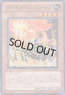 画像1: コアキメイル・ビートル