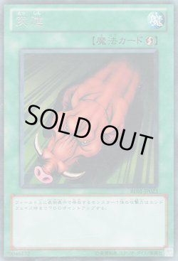 画像1: 突進