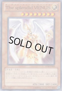 画像1: The splendid VENUS（ザ・スプレンディッド・ヴィーナス）