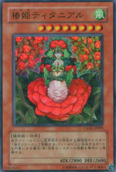 画像1: 椿姫ティタニアル (1)