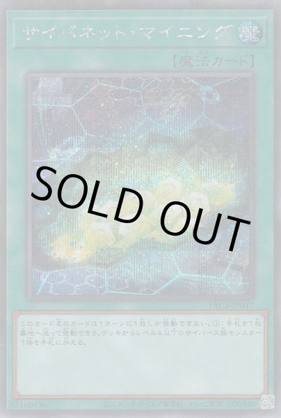 画像1: サイバネット・マイニング (1)