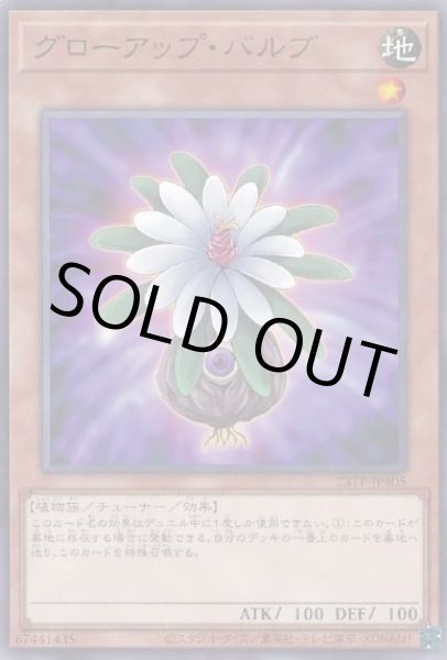 画像1: グローアップ・バルブ (1)