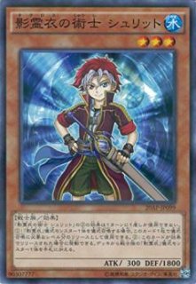 影霊衣の魔剣士アバンス【シークレットパラレル】{TW02-JP072