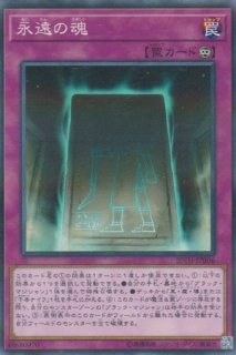 ドラグニティナイト－アラドヴァル - 遊戯王専門：通販サイト