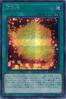 サイバー・ドラゴン - 遊戯王専門：通販サイト ◇ティム中山店