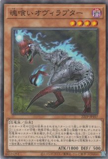 遊戯王　No.46 神影龍ドラッグルーオン　レリーフ　BGS9.5 鑑定済み 遊戯王 No.46 神影龍ドラッグルーオン レリーフ BGS9.5 鑑定済み