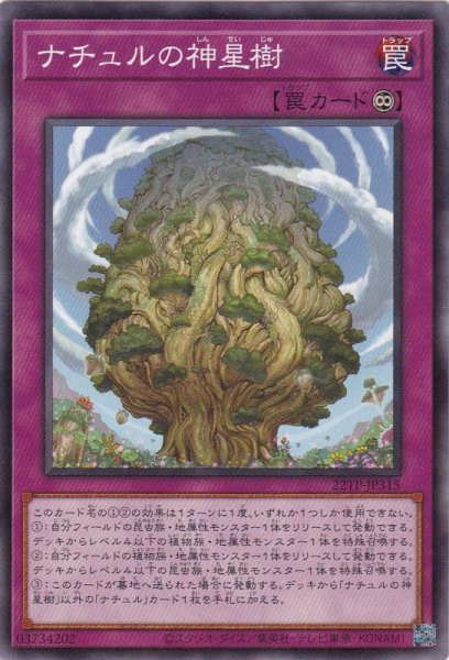 画像1: ナチュルの神星樹（しんせいじゅ） (1)