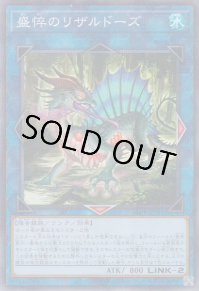 画像1: 盛悴のリザルドーズ (1)