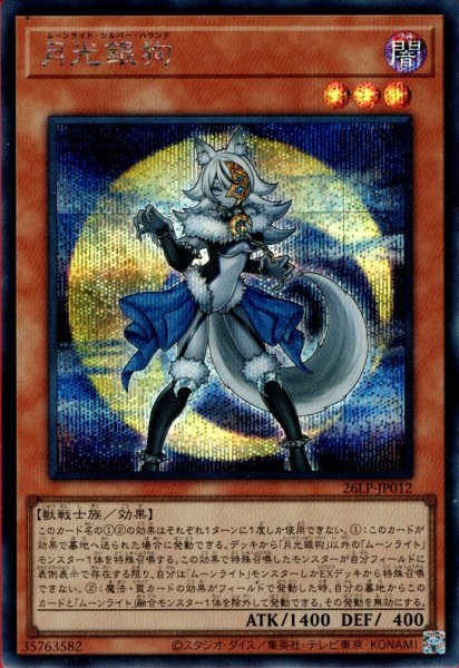 画像1: 月光銀狗（ムーンライト） (1)