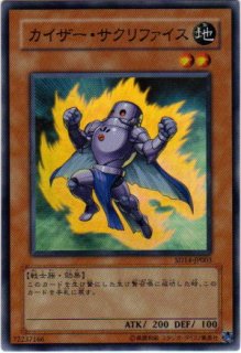 E・HERO シャイニング・フェニックス・ガイ（エレメンタル