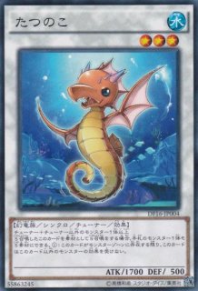 土地鋸(つちのこ) - 遊戯王専門：通販サイト ◇ティム中山店直営