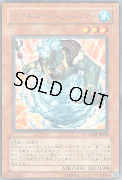 画像1: コアキメイル・フルバリア (1)