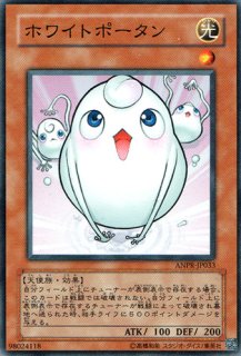 闇紅の魔導師 - 遊戯王専門：通販サイト ◇ティム中山店直営◇ ブルー