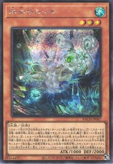 70726f647563742f424143482f3030
