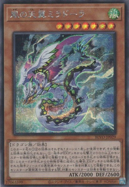 画像1: 風の天翼ミラドーラ (1)