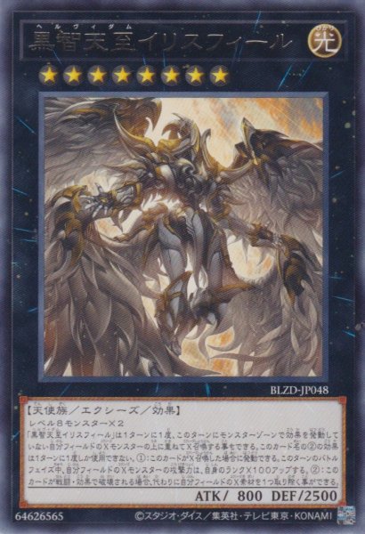 画像1: 黒智天至イリスフィール (1)